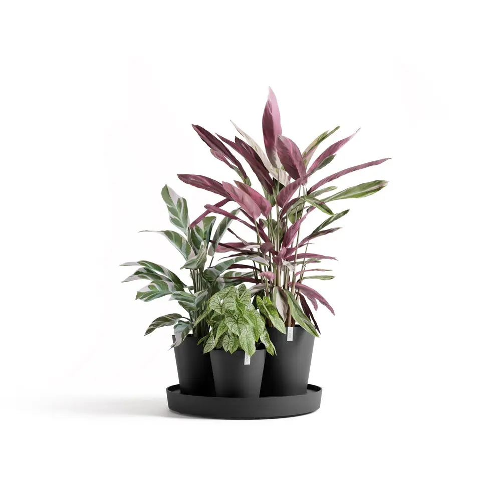 Ensemble de 3 pots Dubai Gris Foncé – Ø 57 x H. 30 cm – support à roulettes ECOPOTS