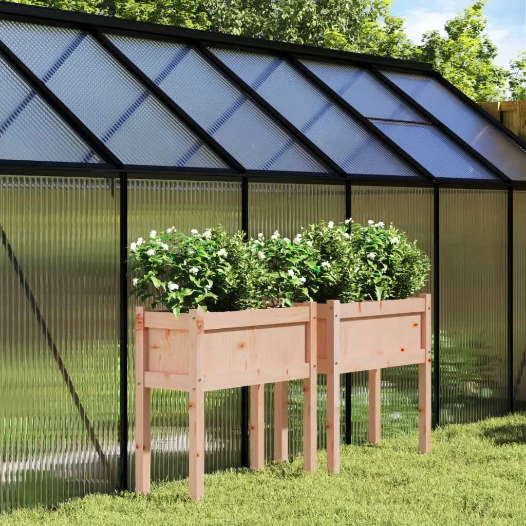 Ensemble de 2 Jardinières Hautes en Bois Douglas Massif – Duo de Bacs Résistants Naturellement – 70cm Brun – ComfortXL Outdoor Living