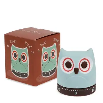 Rex London Temporizador de cocina para niños Owl BLUE