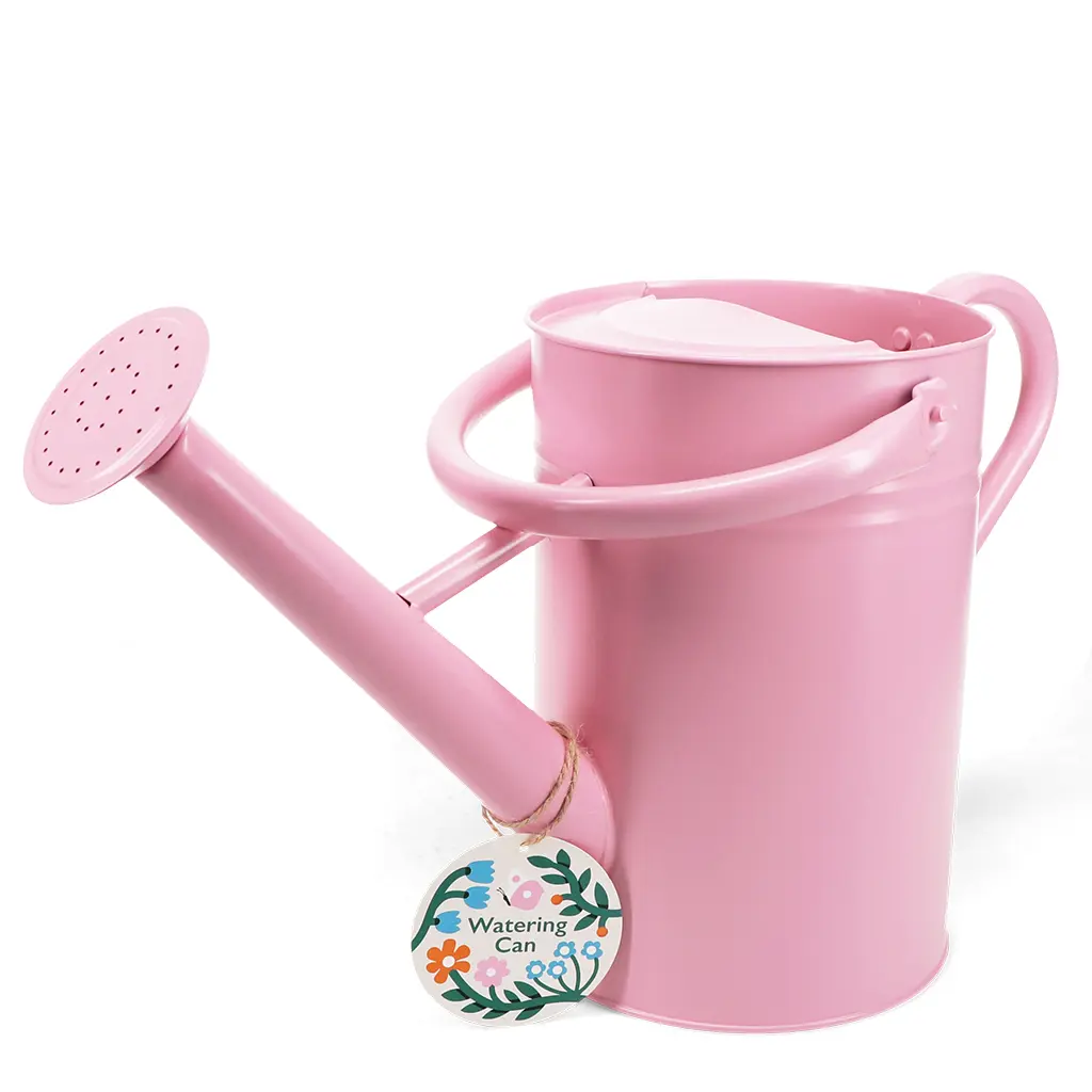 Rex London Regadera de acero galvanizado PINK