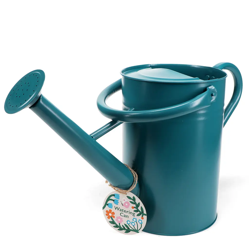 Rex London Regadera de acero galvanizado BLUE