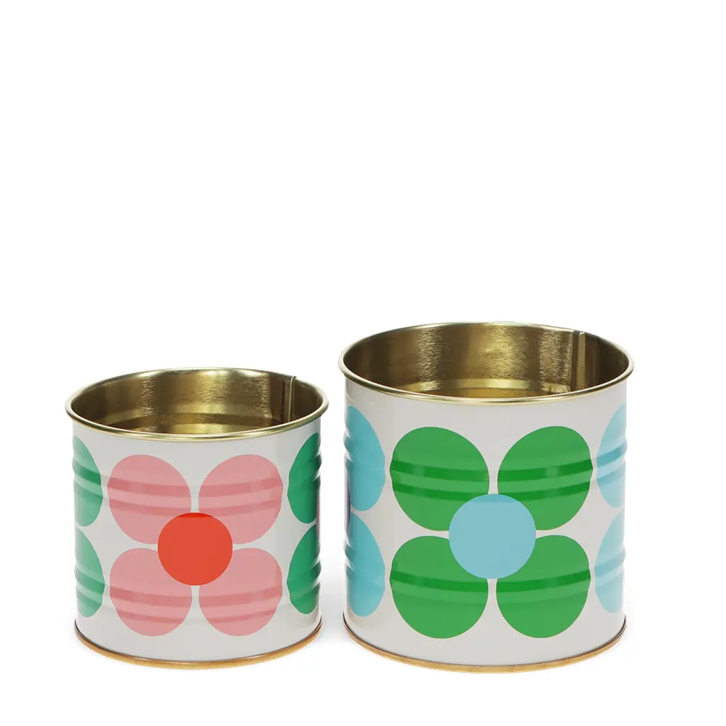Rex London Caja de almacenamiento Daisy Mini (x2) WHITE