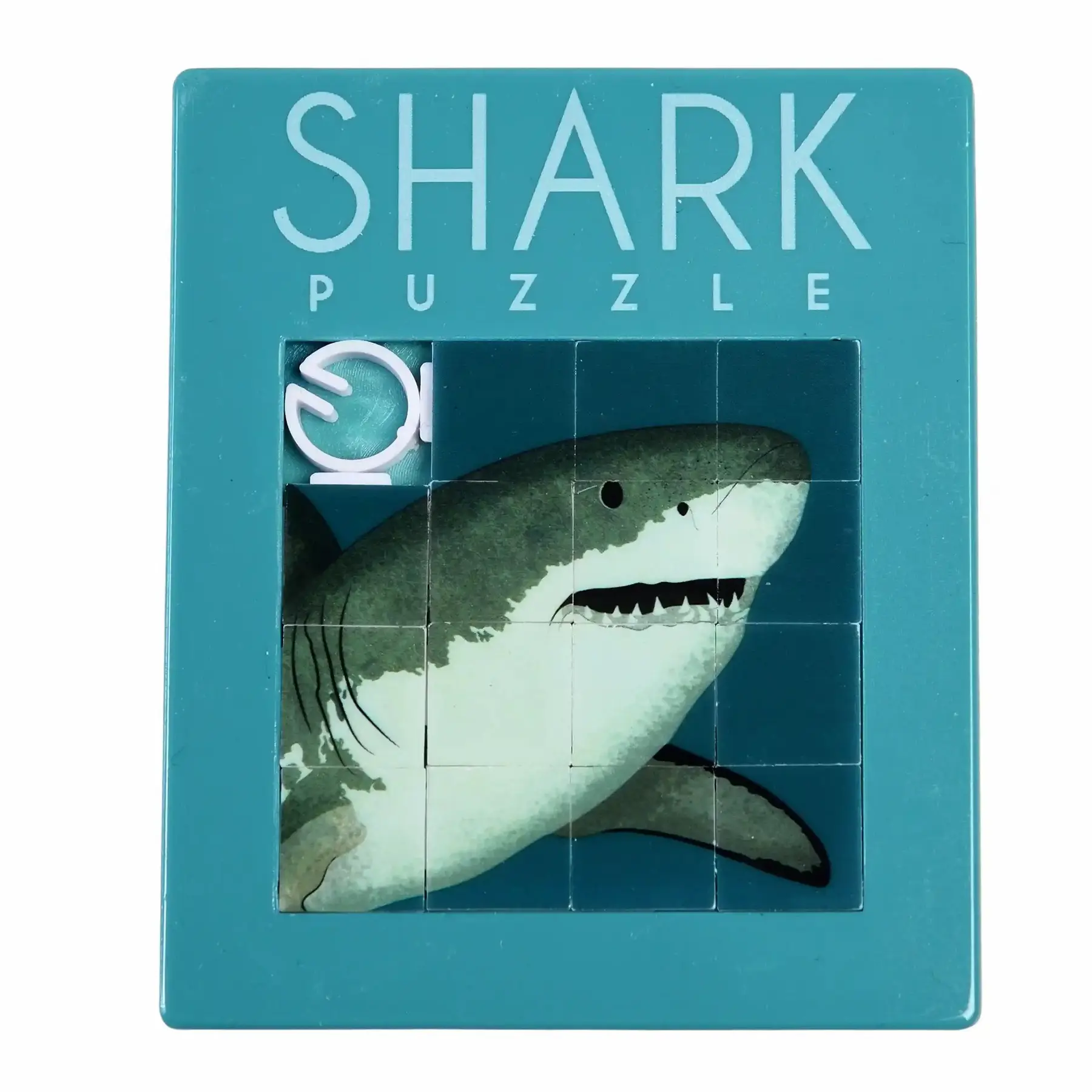 Rex London Puzzle Shark BLUE