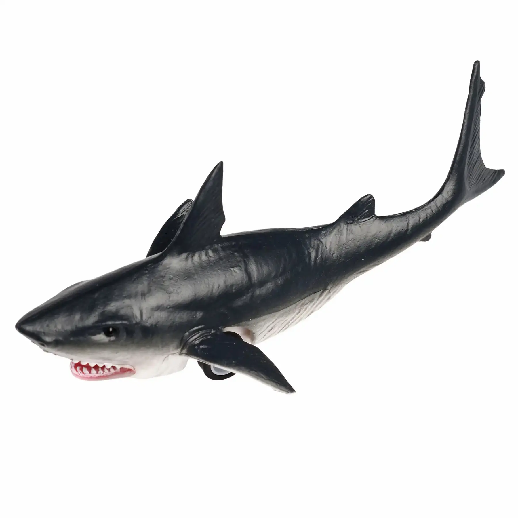 Rex London Niño tiburón retrofricción BLACK