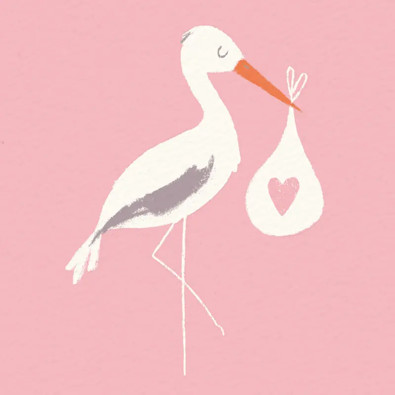Rex London Tarjeta Cigogne PINK