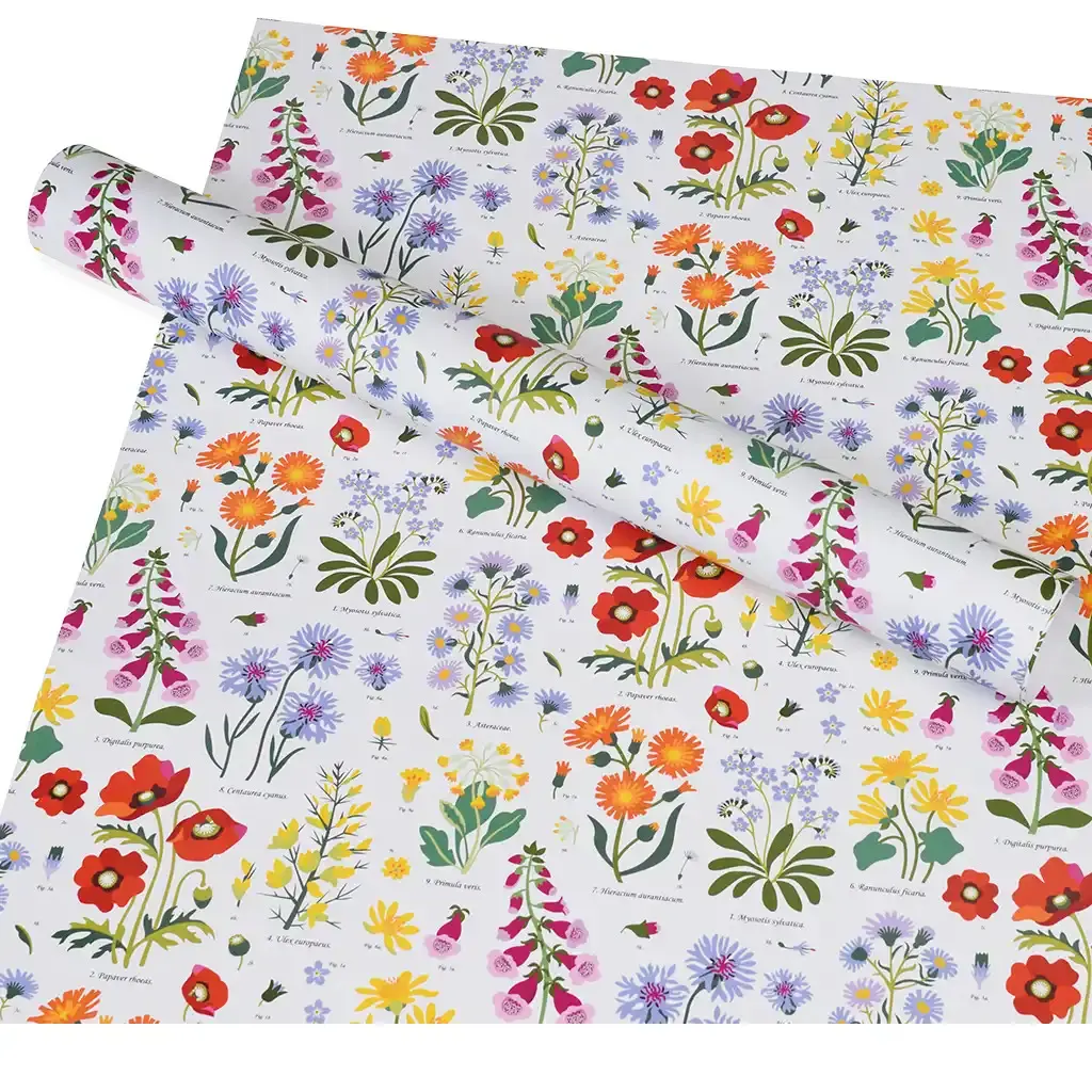 Rex London Hojas de papel de regalo flores silvestres MULTICOLOR