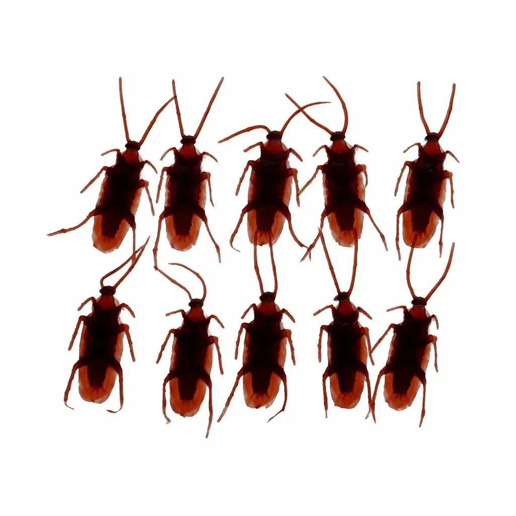Rex London Juguetes sorpresa para cucarachas (x10) BROWN