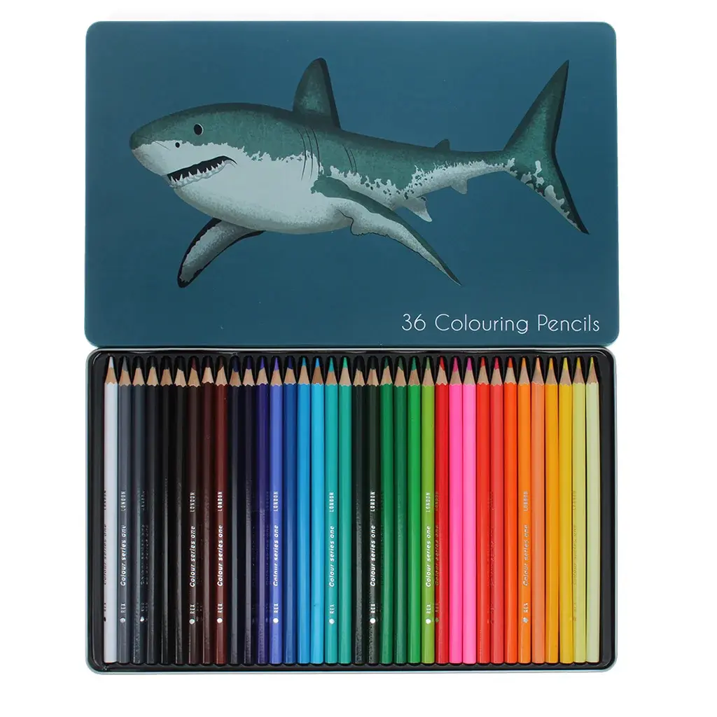 Rex London Crayones de colores para niños Requins (x36) MULTICOLOR
