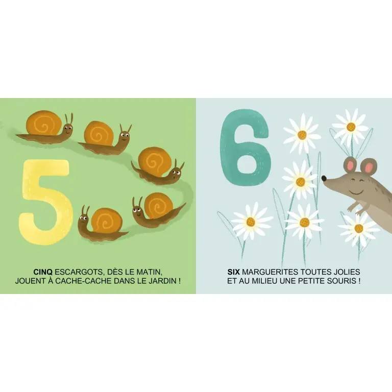 Sassi Juegos educativos La Nature GREEN
