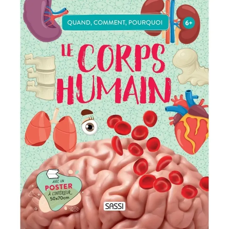 Sassi Libro infantil Le Corps Humain BLUE