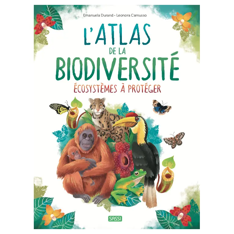 Sassi Libro infantil Ecosystemes A Proteger WHITE